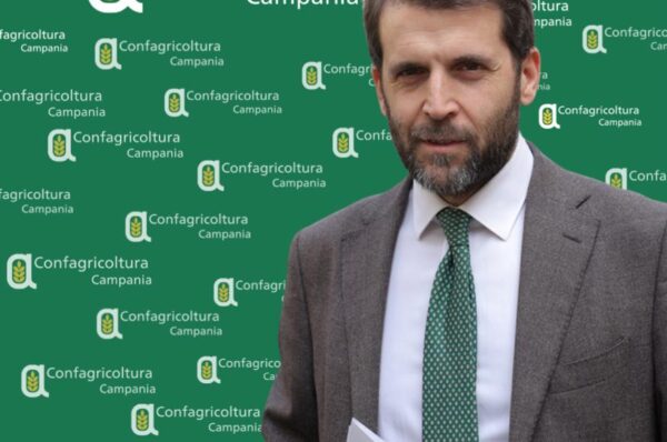 Confagricoltura Campania, Paolo Conte nuovo Direttore regionale