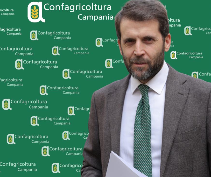 Confagricoltura Campania, Paolo Conte nuovo Direttore regionale