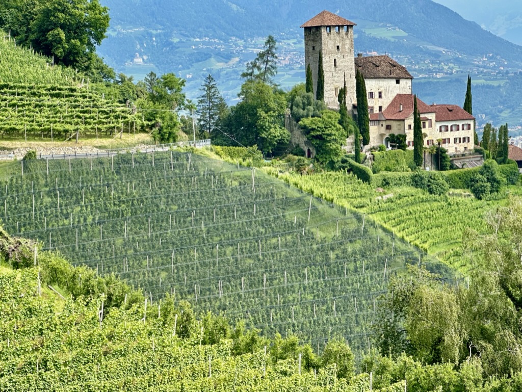 Reportage tra Vignaioli e Cantine del Burgraviato