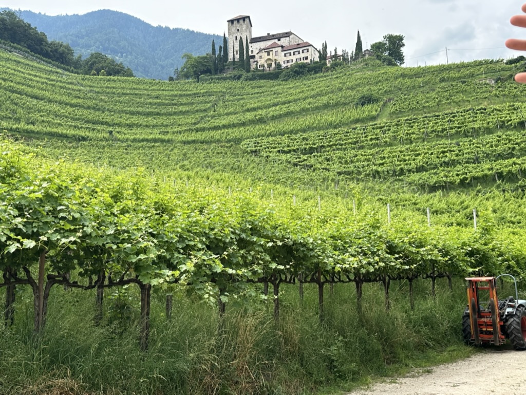 Cantine Oberstein Joachim Wolf